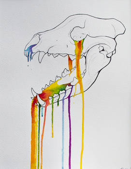 Wolf Skull Rainbow Drip