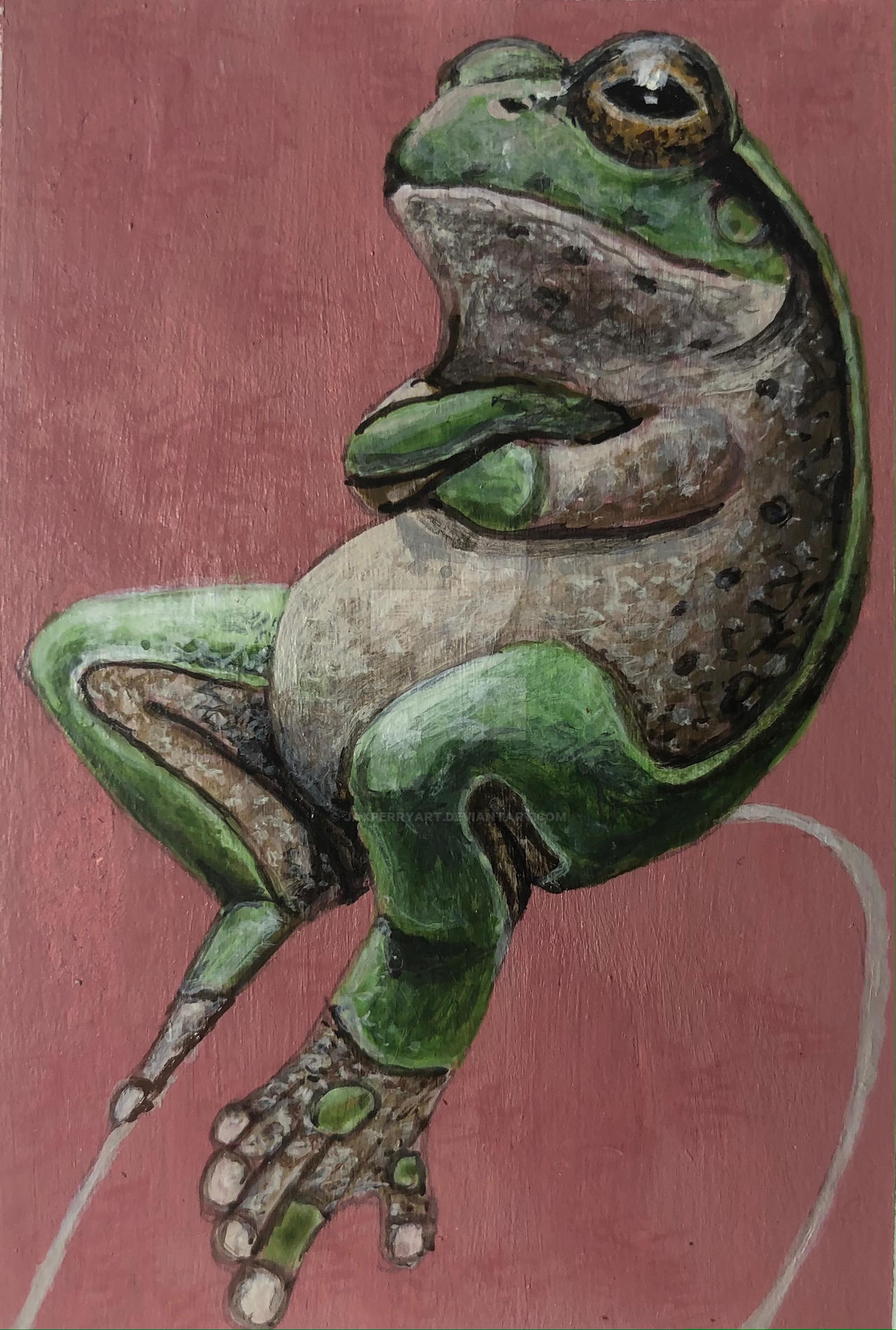 Unimpressed Frog by Jaxperryart on DeviantArt