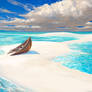 Lonely Sandbar