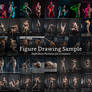 Figure Drawing Sample Stock Pack