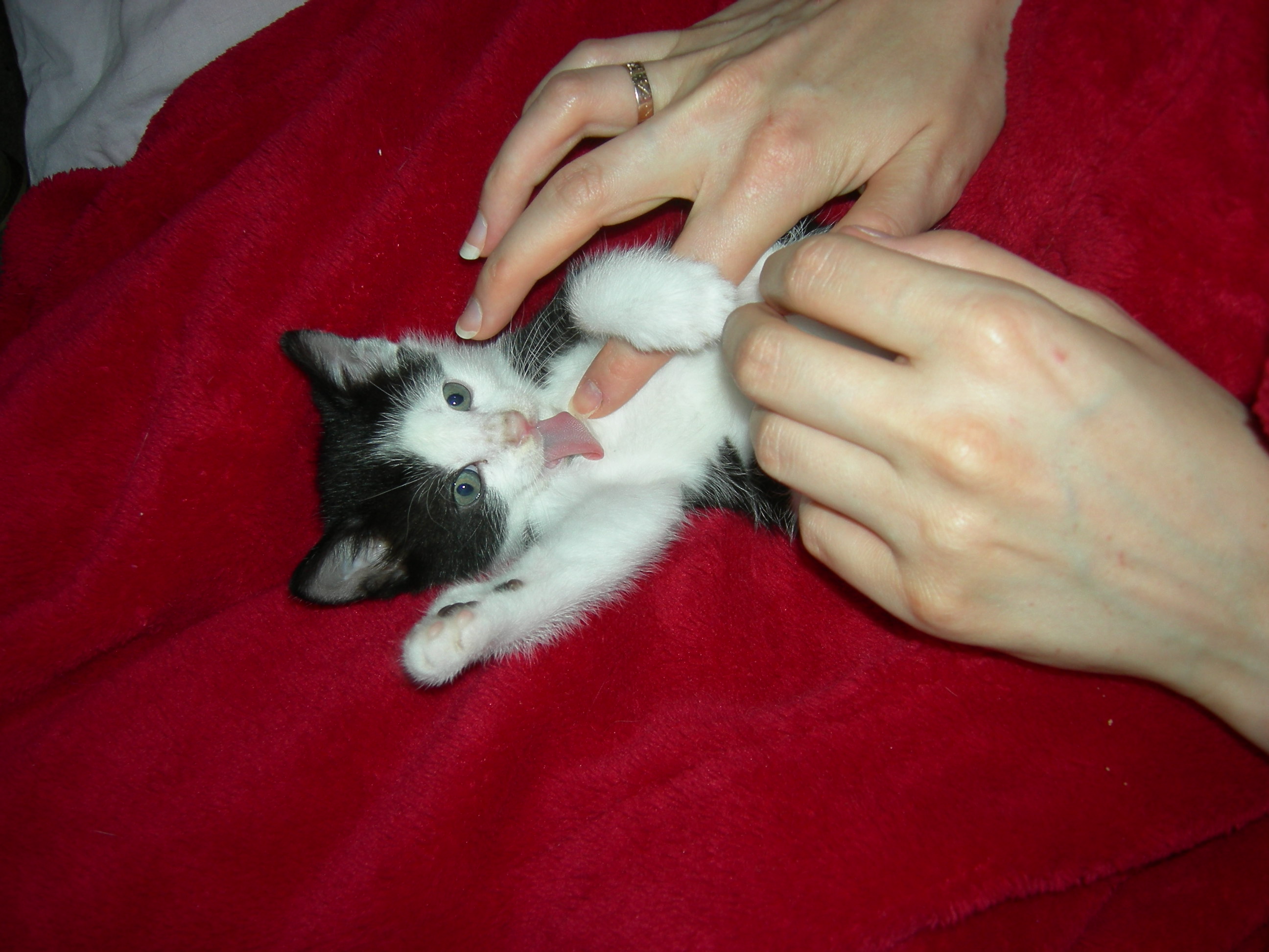 Finger Lick by Artire on DeviantArt