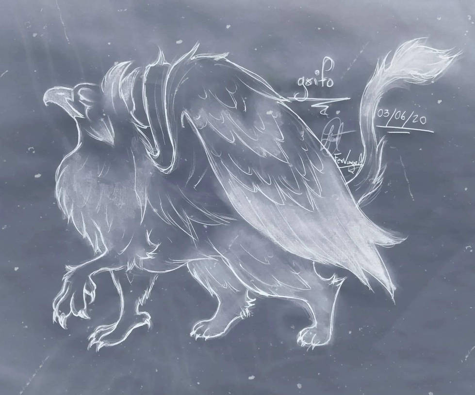 Griffin FanArt by fervangraff23 on DeviantArt