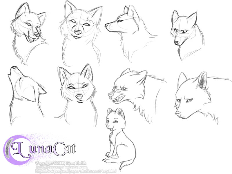 How To Draw Anime Wolf Head