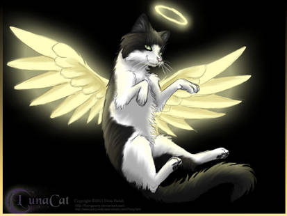 Guardian angel