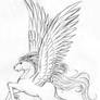 Pegasus Sketch