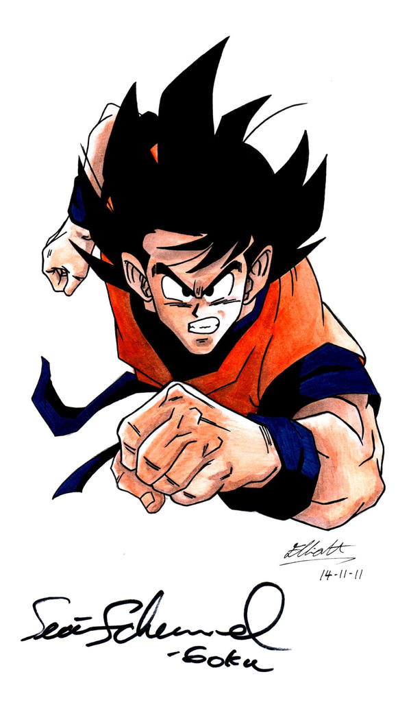 Goku - SIGNED BY SEAN SCHEMMEL