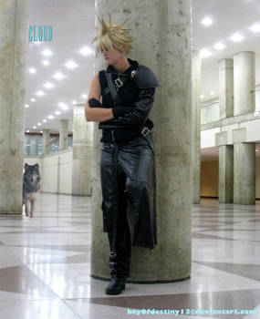 Cloud Strife: Lone Wolf