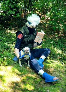 Kakashi and Pakkun