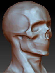skull polished