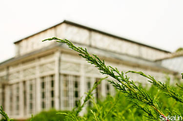 The Great Greenhouse