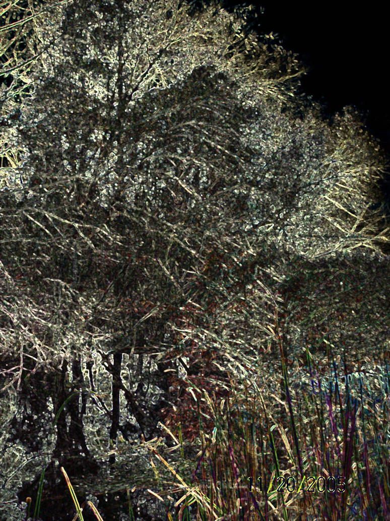inverted trees by kellyxx3 on DeviantArt