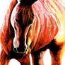 Orange-Horse