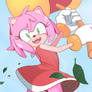 Amy Rose is Here