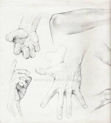 Anatomy of Hands 1