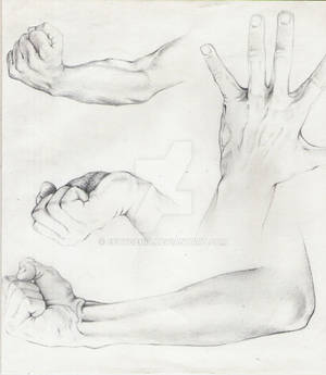 Anatomy of Hands 2