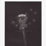 Dandelion mezzotint