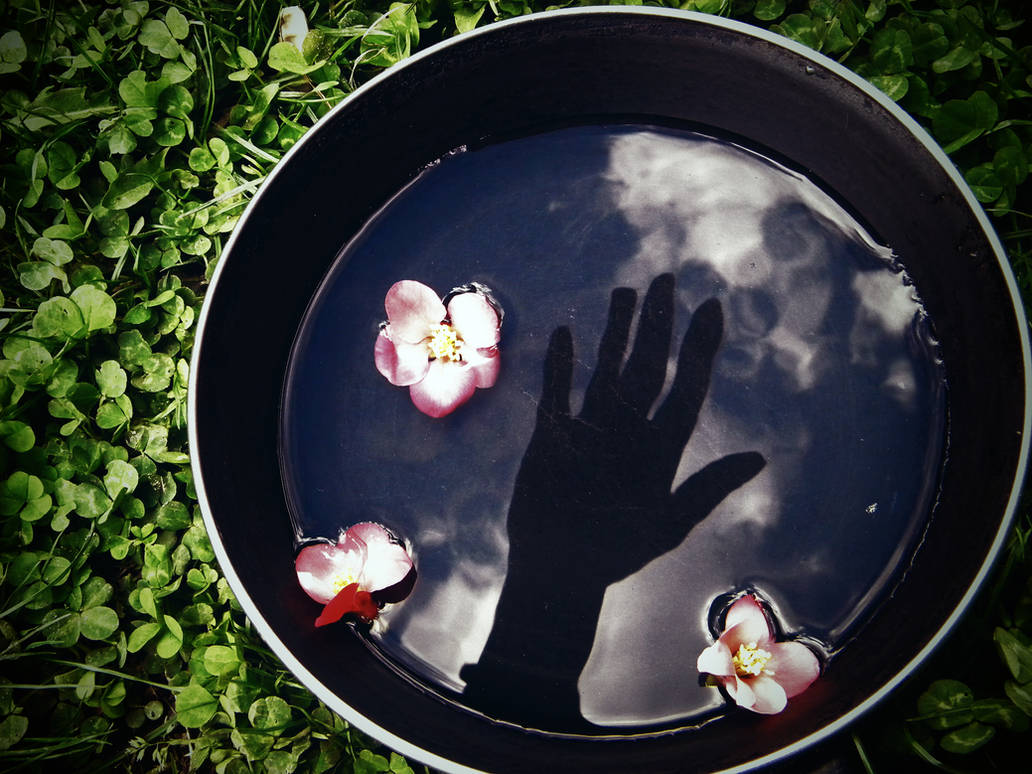 touch the sky by adelinaae touch the sky by adelinaae