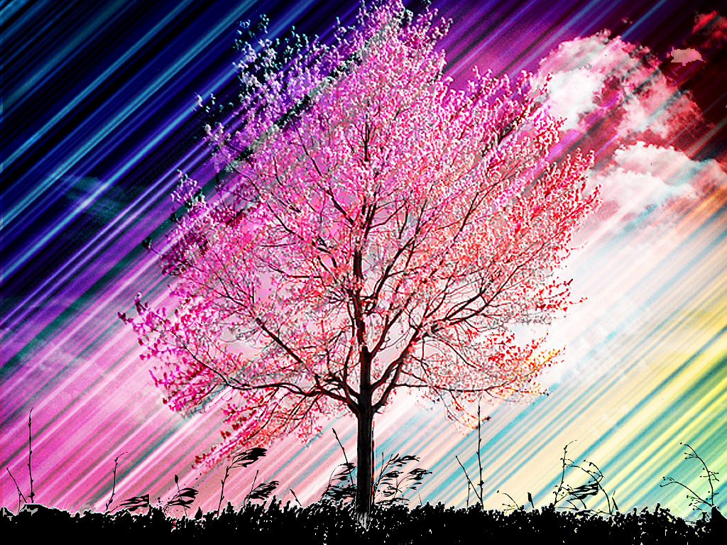 Rainbow Cherry Tree