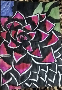 WP 20200423 12 28 44 Pro