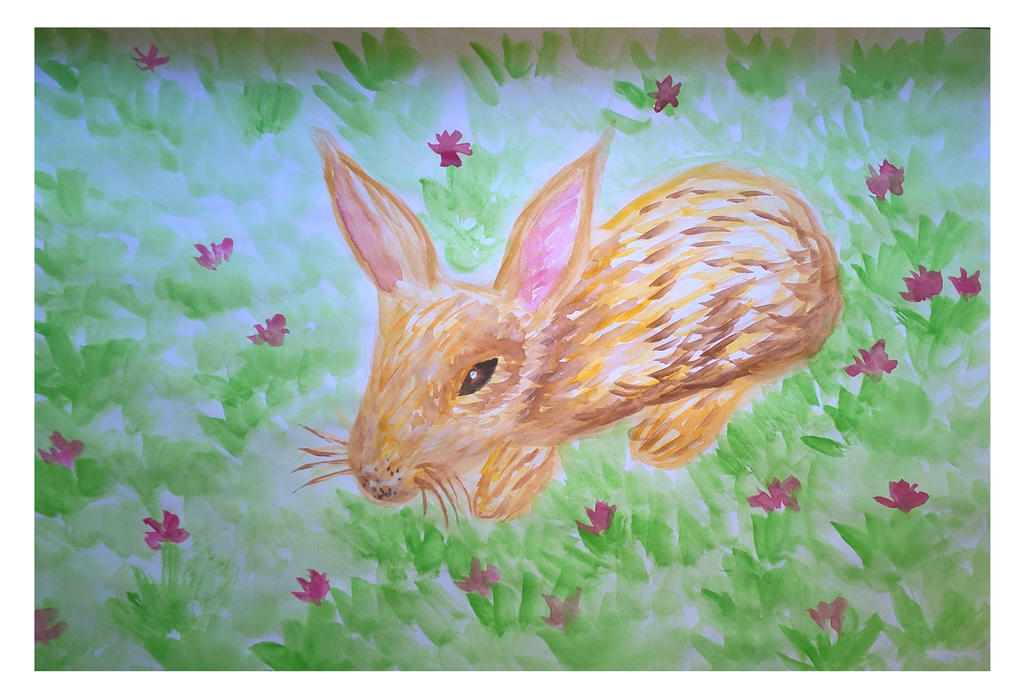 Davincci Rabbit Baby rabbit by davincimelancholy on DeviantArt