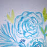 Blue roses