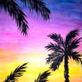 Palms and sunset