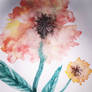 Poppy - watercolor