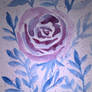 Rose - watercolor