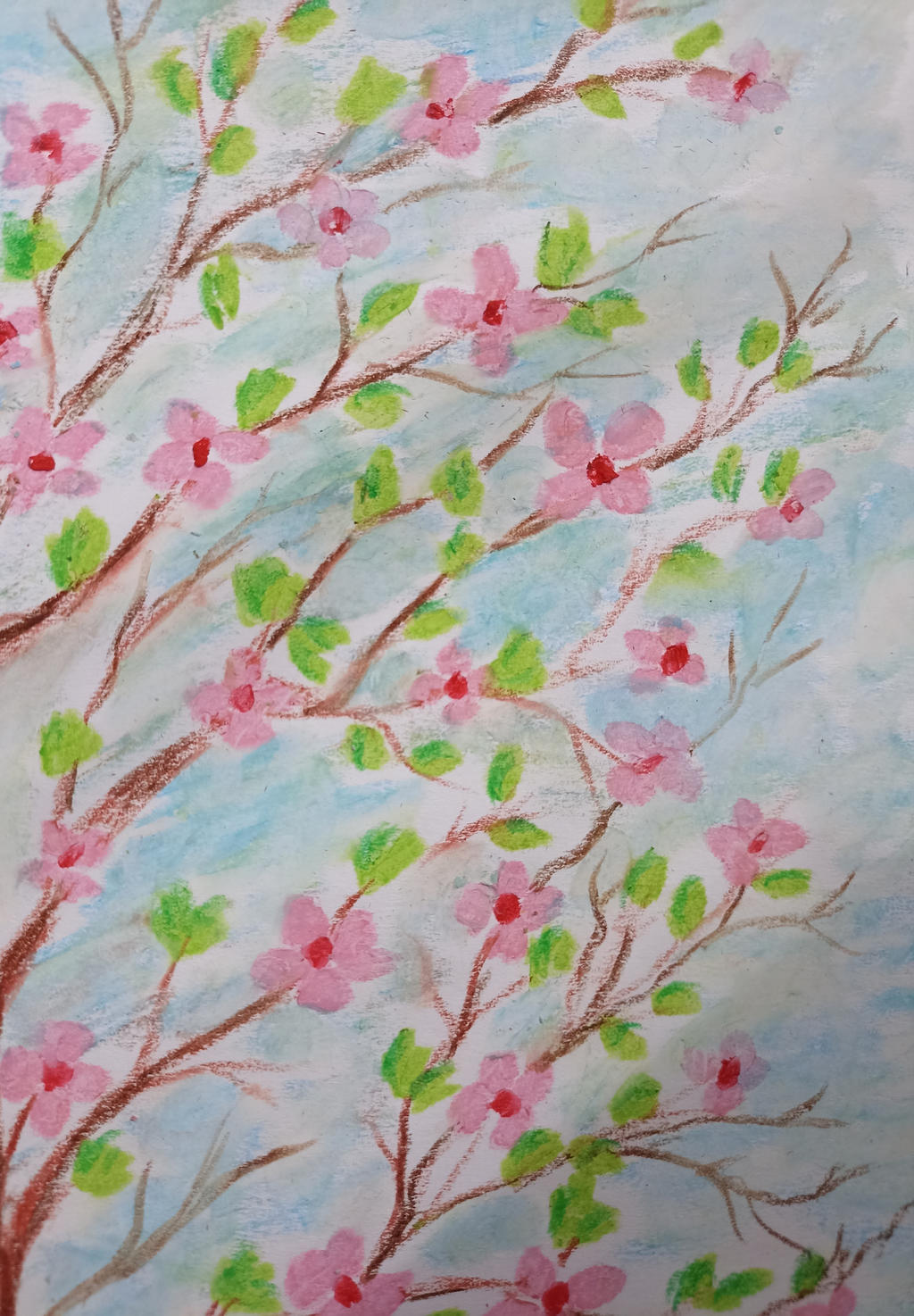 Cherry blossom - oil pastel by davincimelancholy on DeviantArt