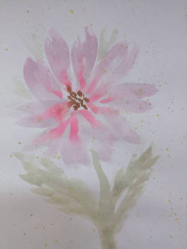 Soft flowers - watercolour 