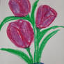 Tulips - oil pastels