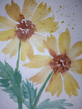Sunflower - watercolour