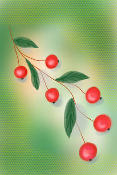 Red berries - iPad drawing