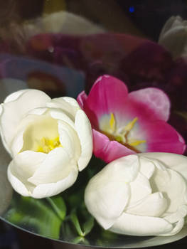 Happy international woman's day