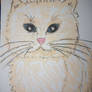 Kitty - oil pastel