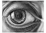 Eschers Eye