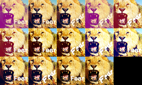 Lion Icons