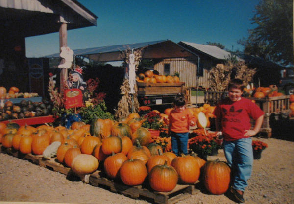 Just the right pumpkin