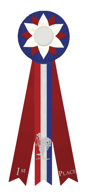 Toastmaster First Time Ribbon TBSR - 1st Place Ribbon by RockCreekRanch on DeviantArt