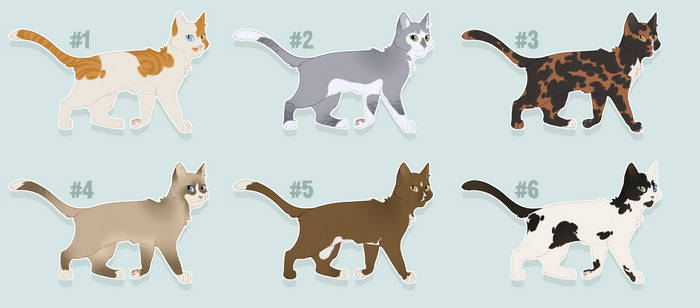 Cat Adoptables