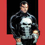 Punisher Colors