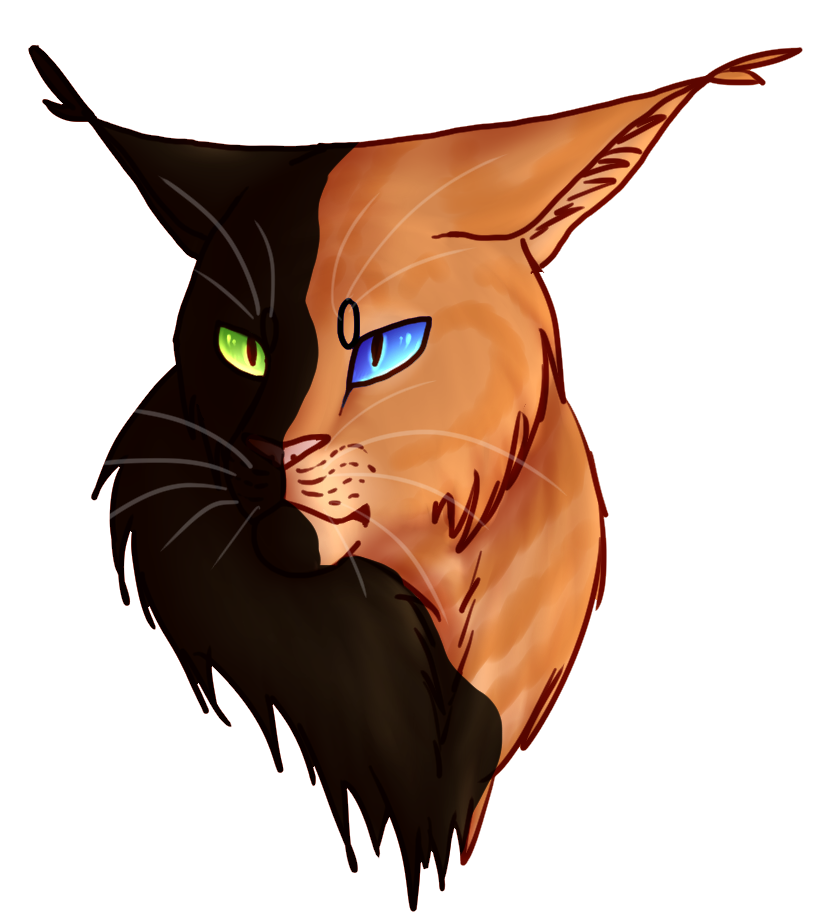 Firestar - Warrior Cats by SnexMy on DeviantArt