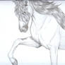 This is the Spanish Horse