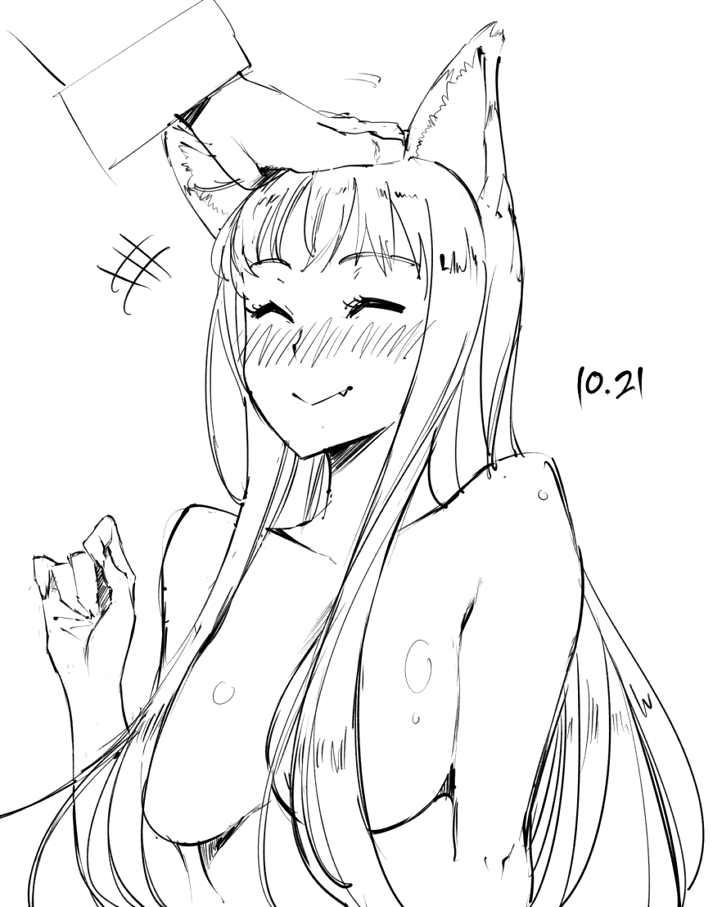 Holo sketch