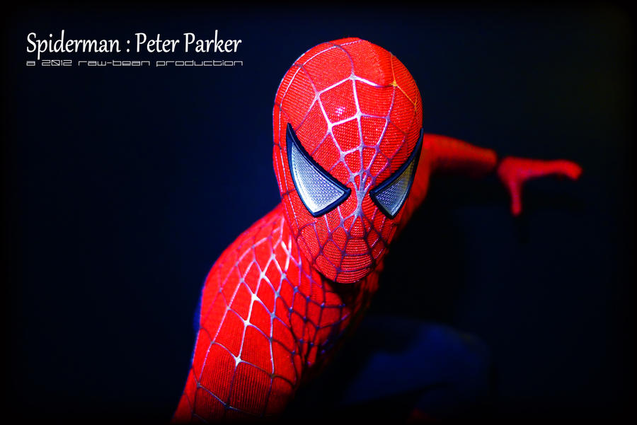 Hot Toys - Spiderman 1