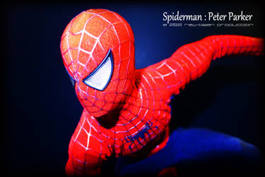 Hot Toys - Spiderman 2