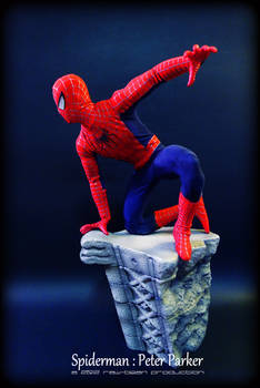Hot Toys - Spiderman 4