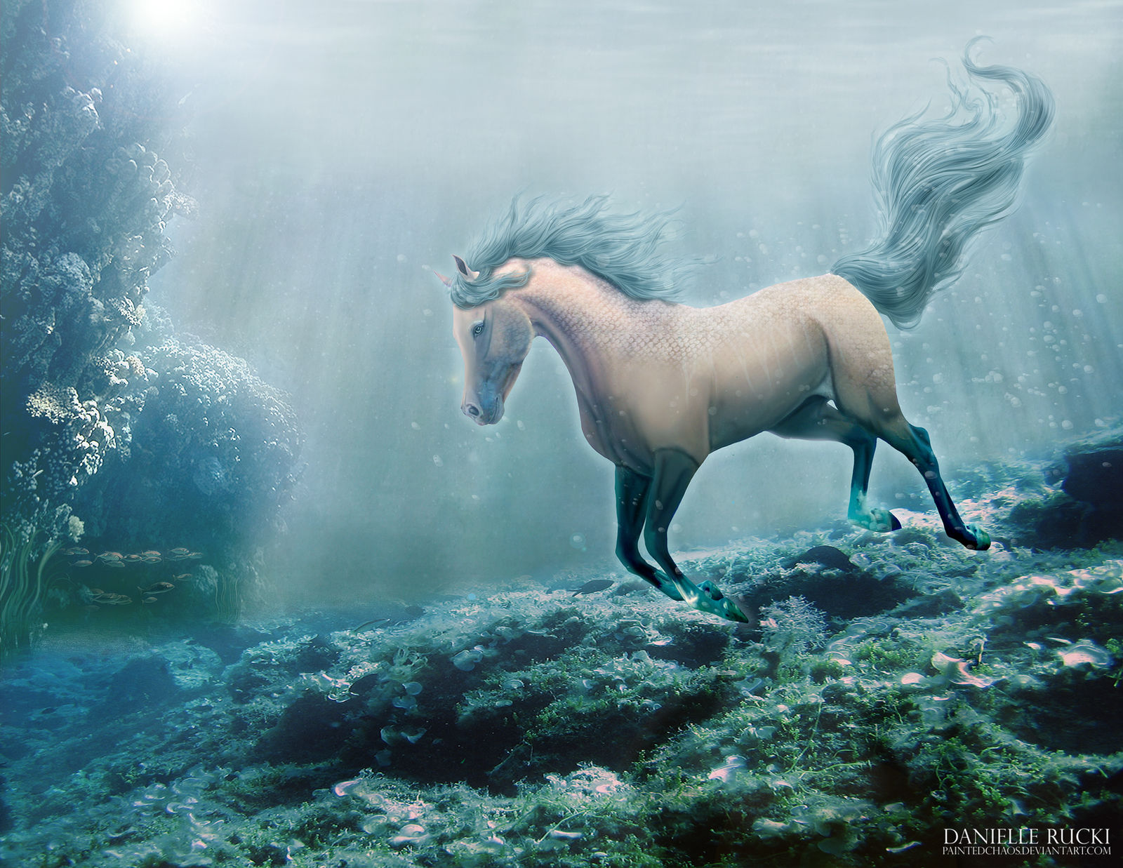 Under the Sea by ephemira