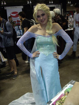 CCEE 2014 Elsa 2