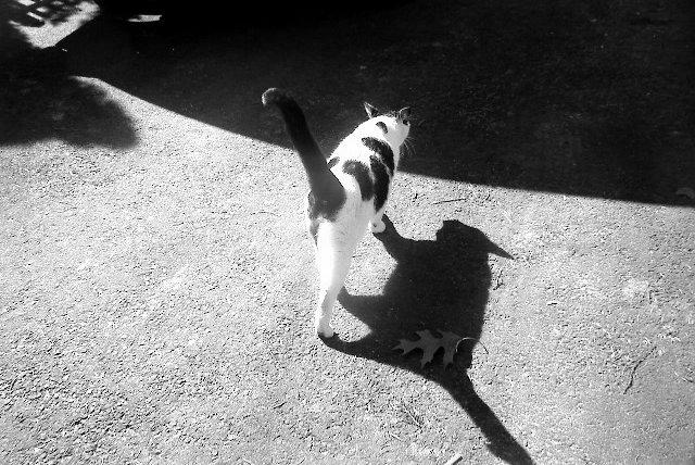 Distorted body image by ladiscotheque on DeviantArt